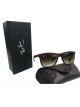 Exclusive Wayfarer Sunglasses  (Black)