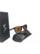 Exclusive Wayfarer Sunglasses  (Brown)