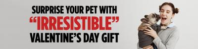 Surprise Your Pet with Irresistible Valentine’s Day Gift
